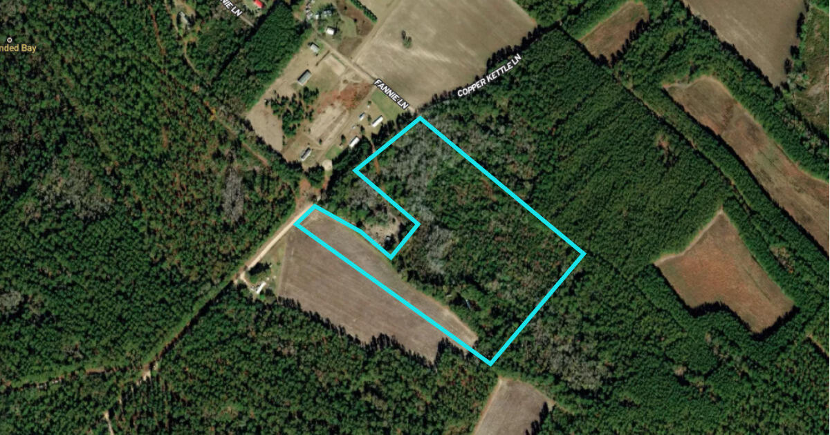 0 Copper Kettle Lane Manning, SC 29102 - Photo 1 of 2 1_photo--copper-kettle-lane