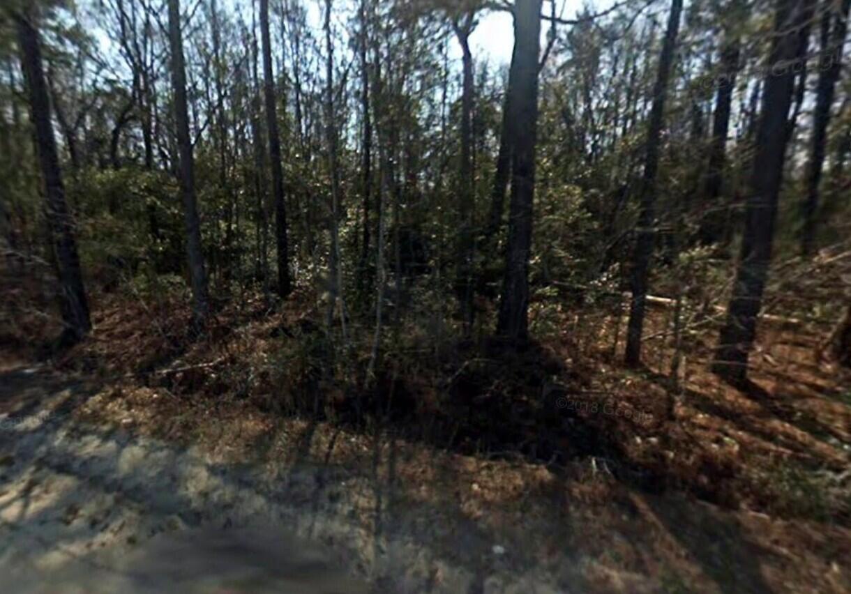 0 Copper Kettle Lane Manning, SC 29102 - Photo 2 of 2 2_photo--copper-kettle-lane