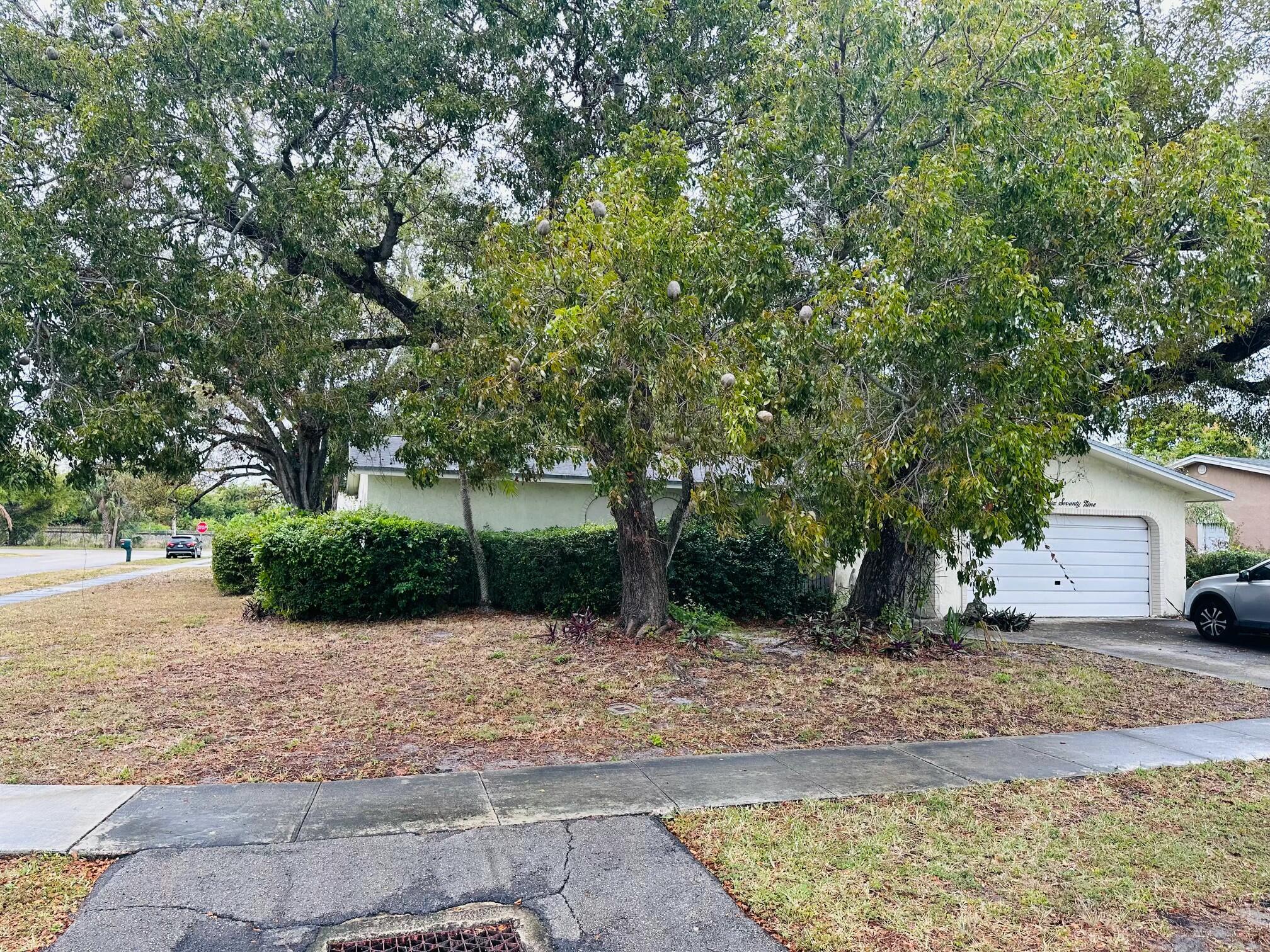 a view of a backyard with large trees