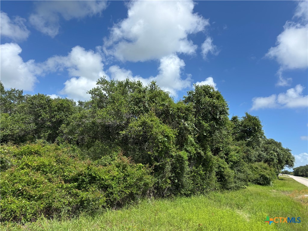 Tbd Harbor Road Seadrift, TX 77983 - Photo 3 of 16