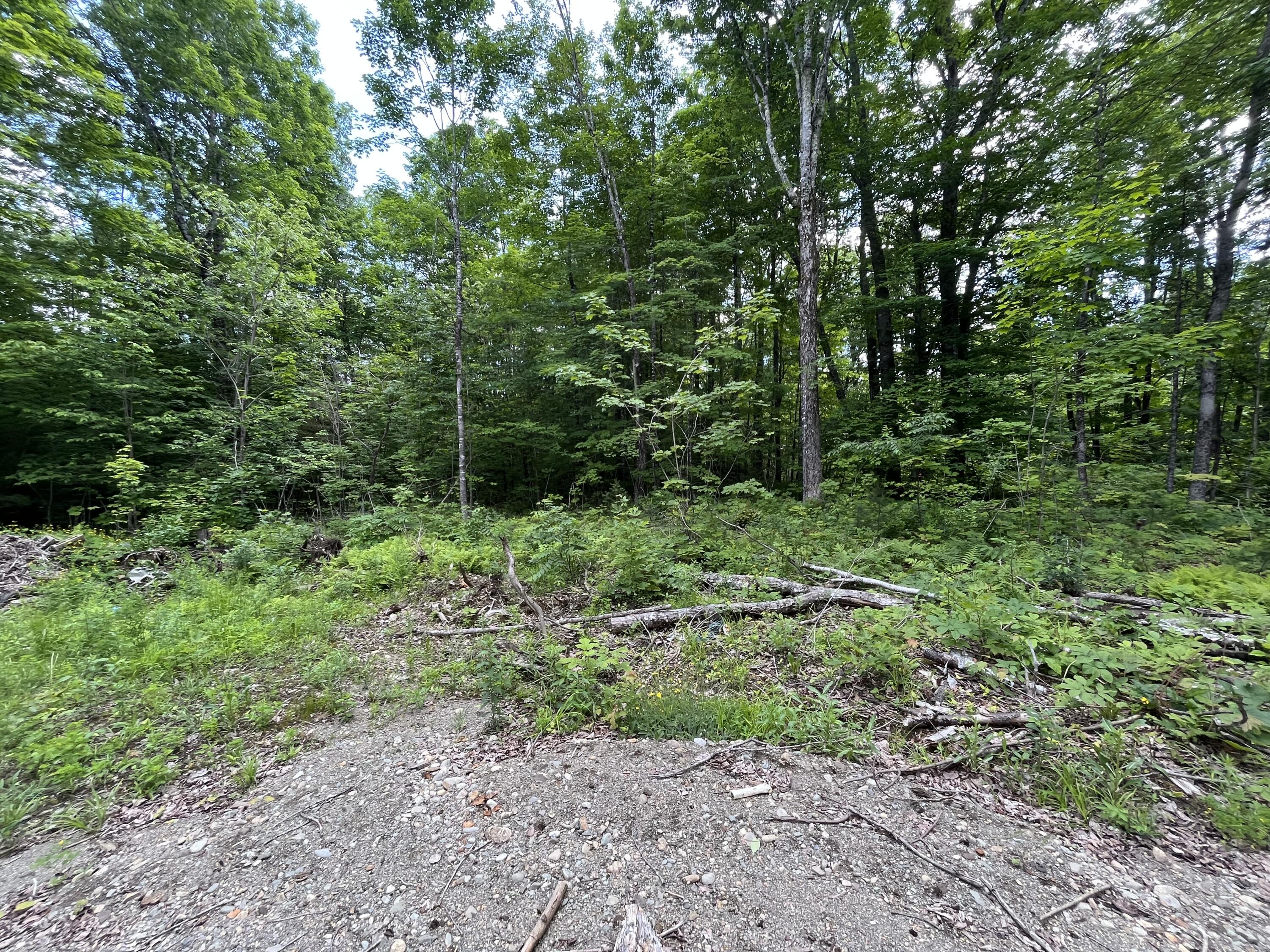 Lot 2 South Solon Road Solon, ME 04979 - Photo 10 of 10 10 Exterior
