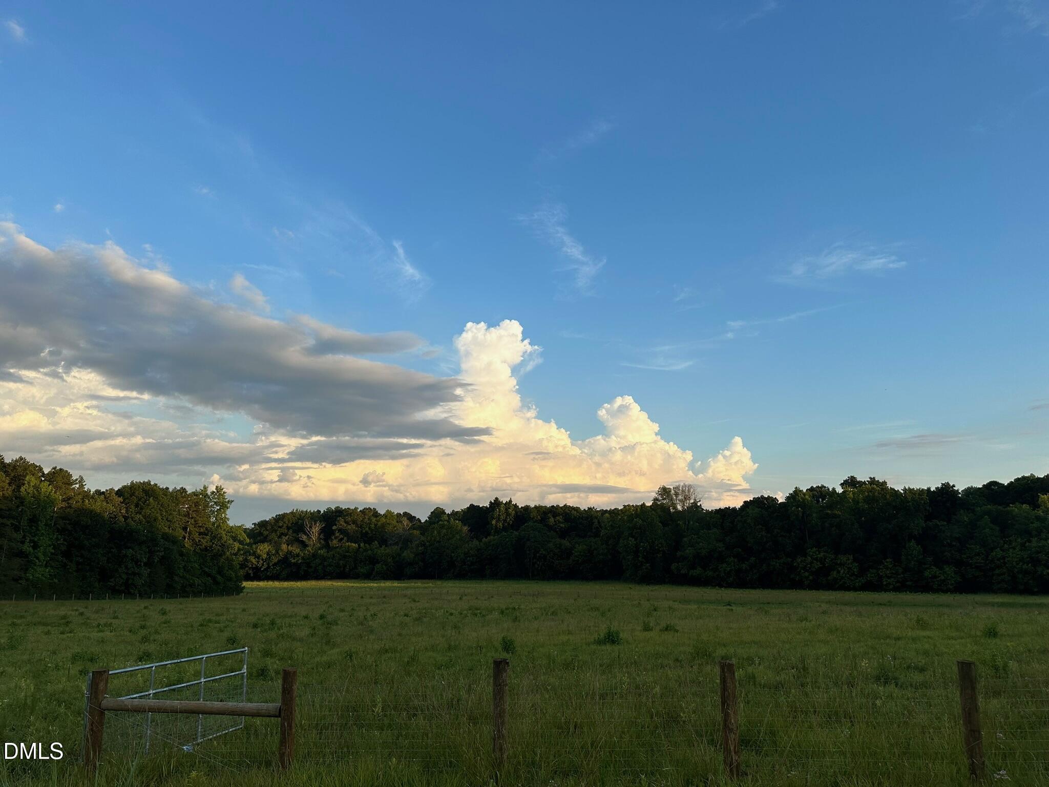 6061 River Run Trail Graham, NC 27253 - Photo 25 of 71 a view of a big yard with a large tree