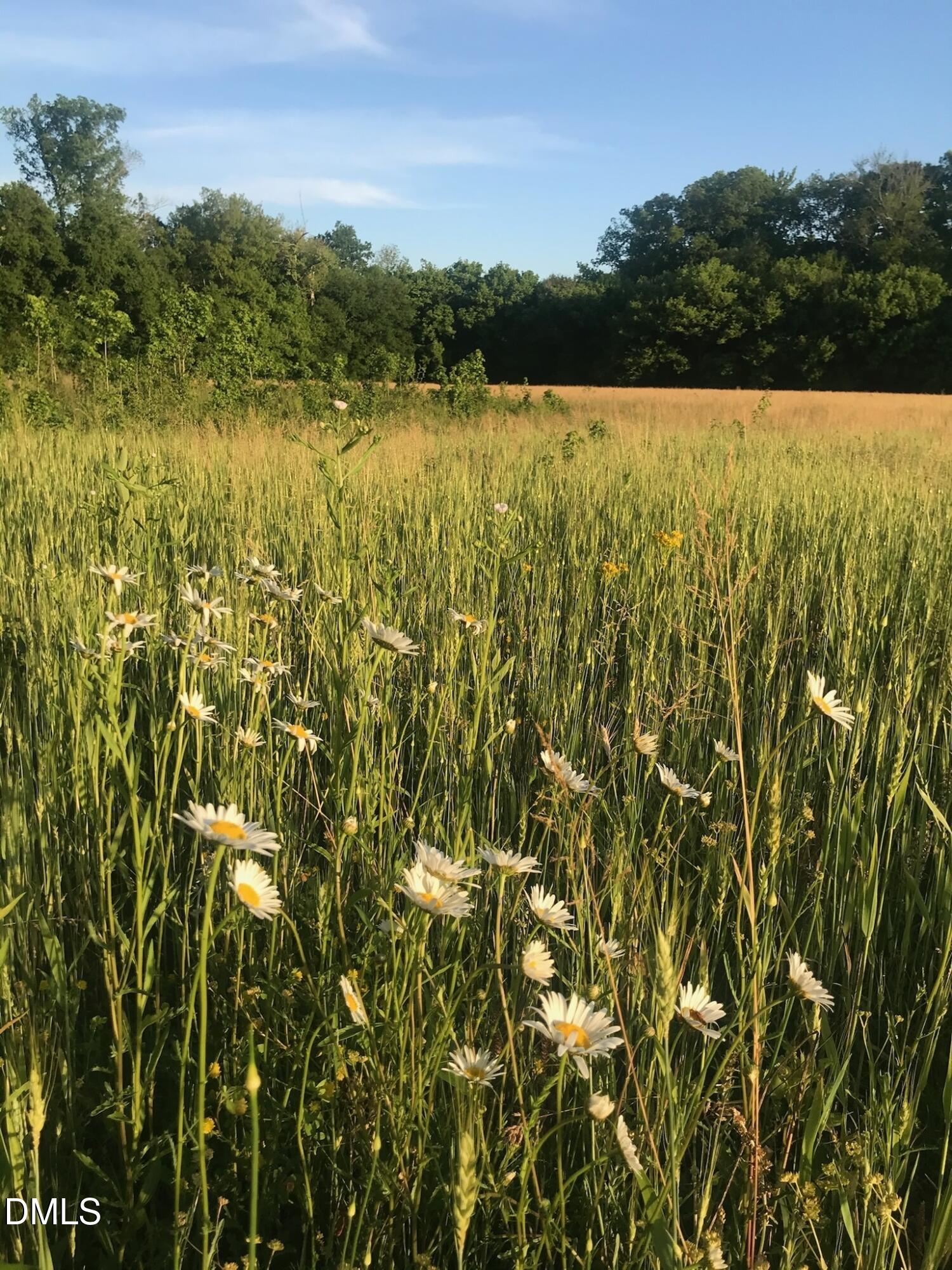 6061 River Run Trail Graham, NC 27253 - Photo 26 of 71 MissummerMeadow 6061RiverRun