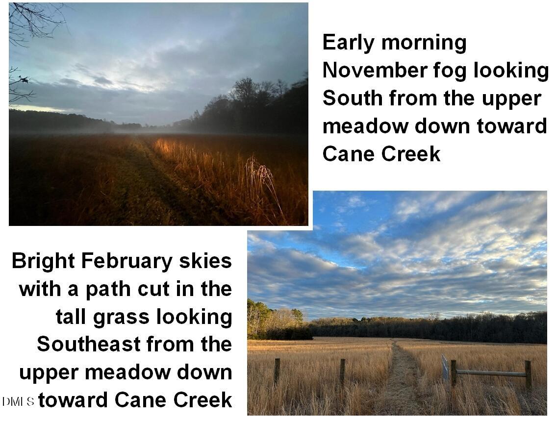 6061 River Run Trail Graham, NC 27253 - Photo 27 of 71 Winter grass paths