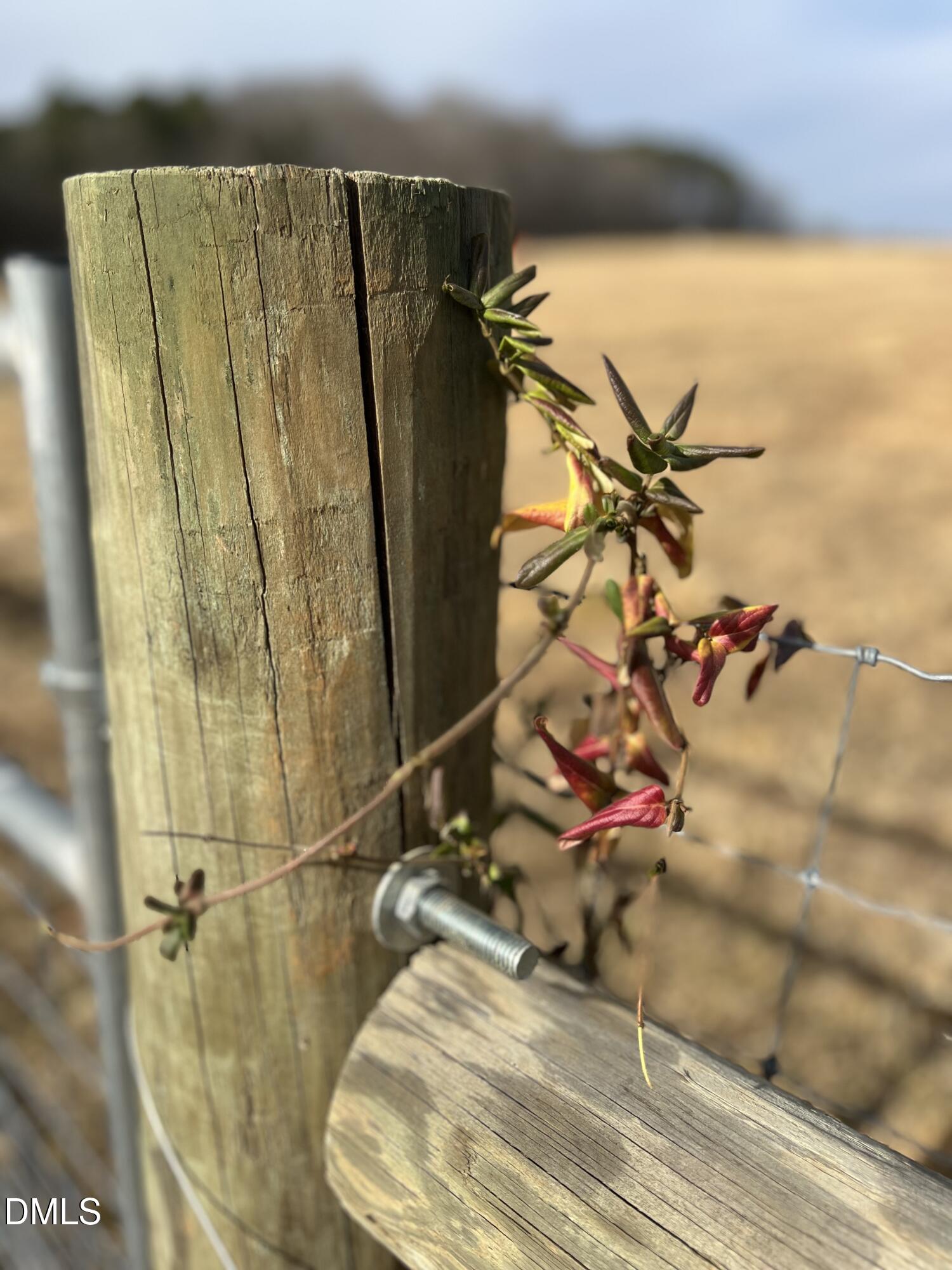 6061 River Run Trail Graham, NC 27253 - Photo 32 of 71 IMG_6508