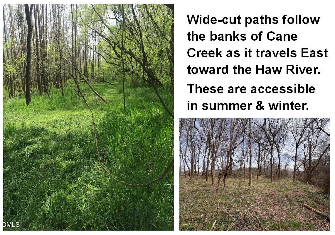 6061 River Run Trail Graham, NC 27253 - Photo 40 of 71 a picture of a park