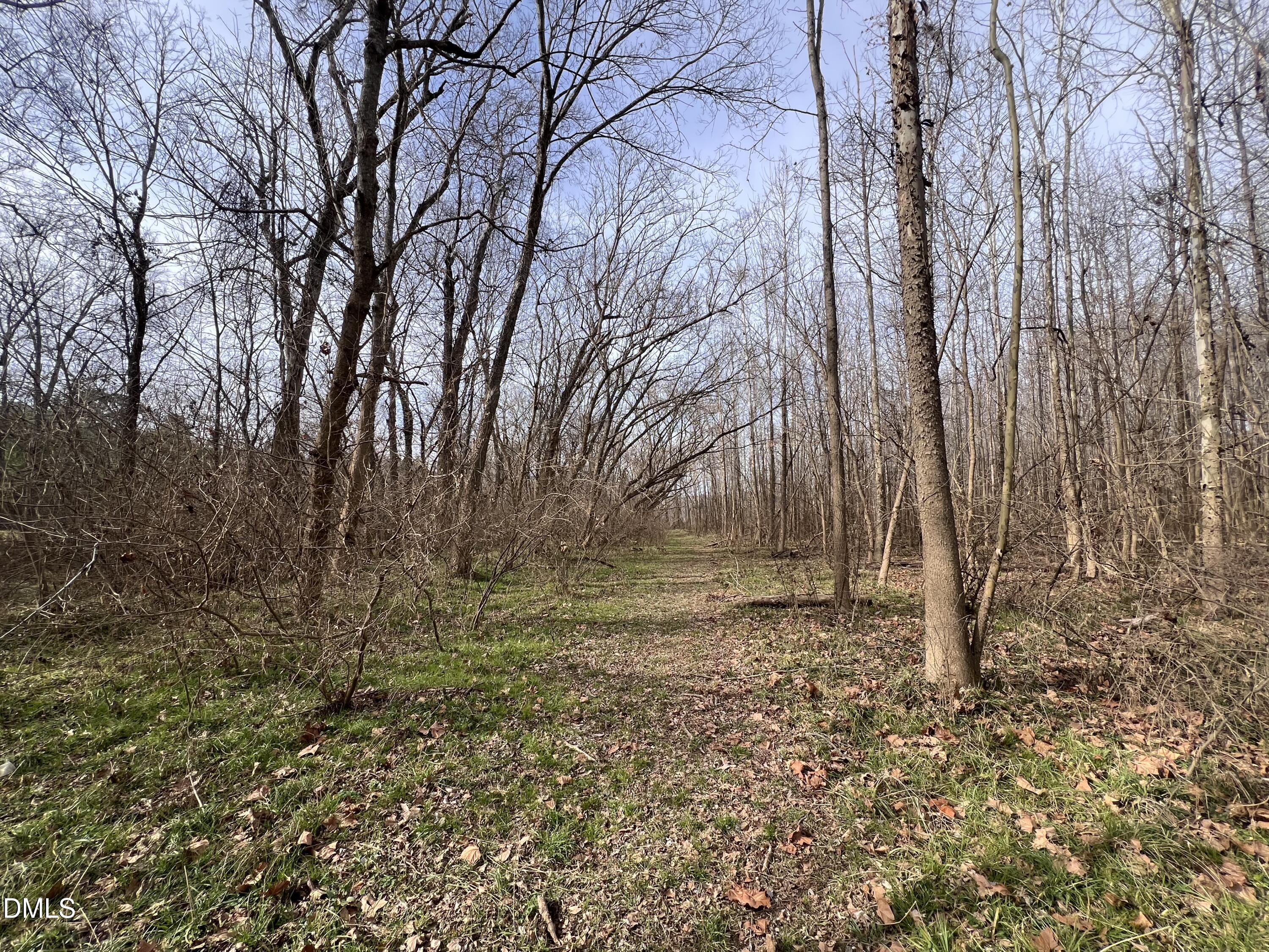 6061 River Run Trail Graham, NC 27253 - Photo 41 of 71 a backyard of a house with lots of green space