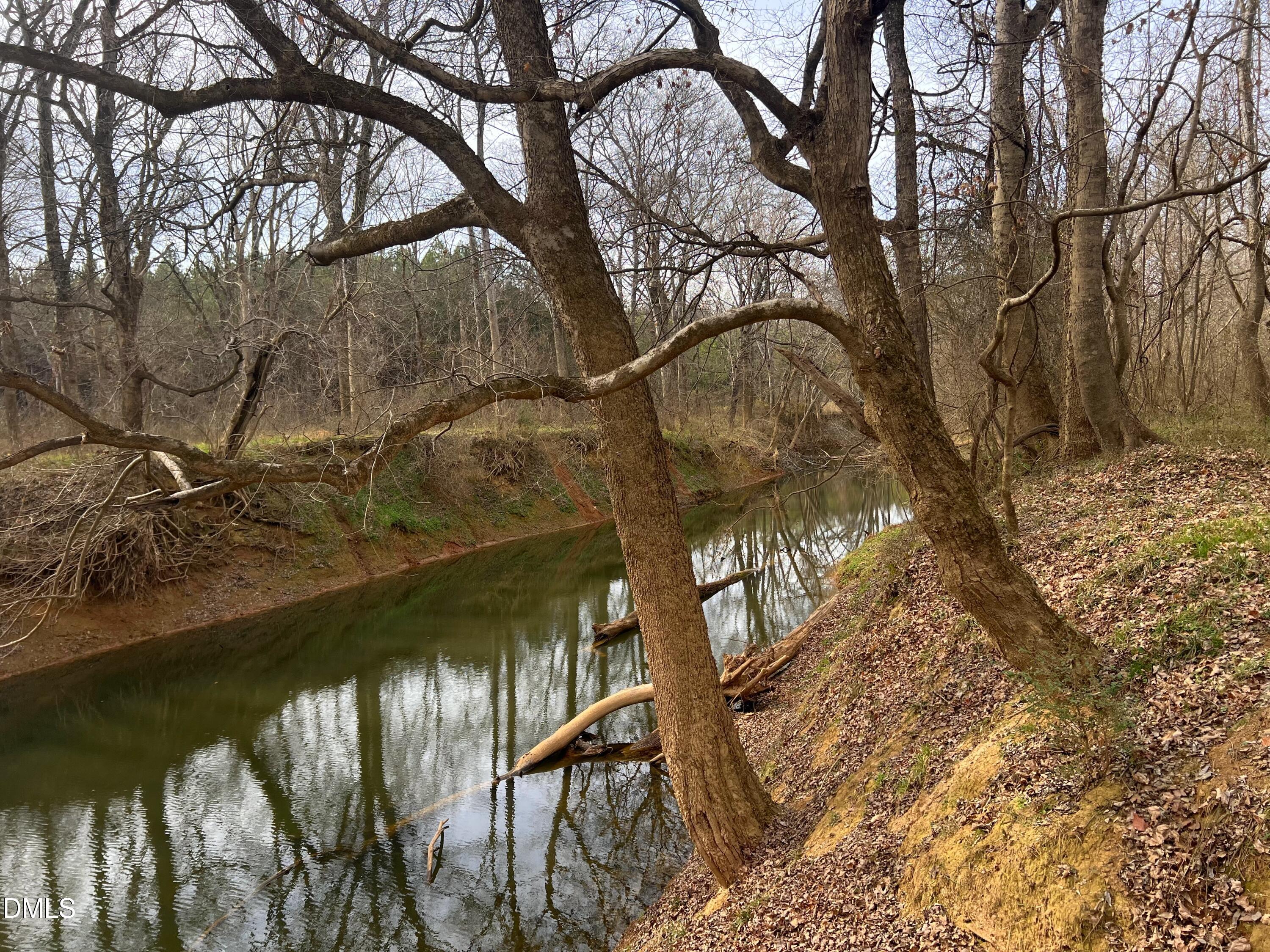 6061 River Run Trail Graham, NC 27253 - Photo 42 of 71 a view of ocean from a tree