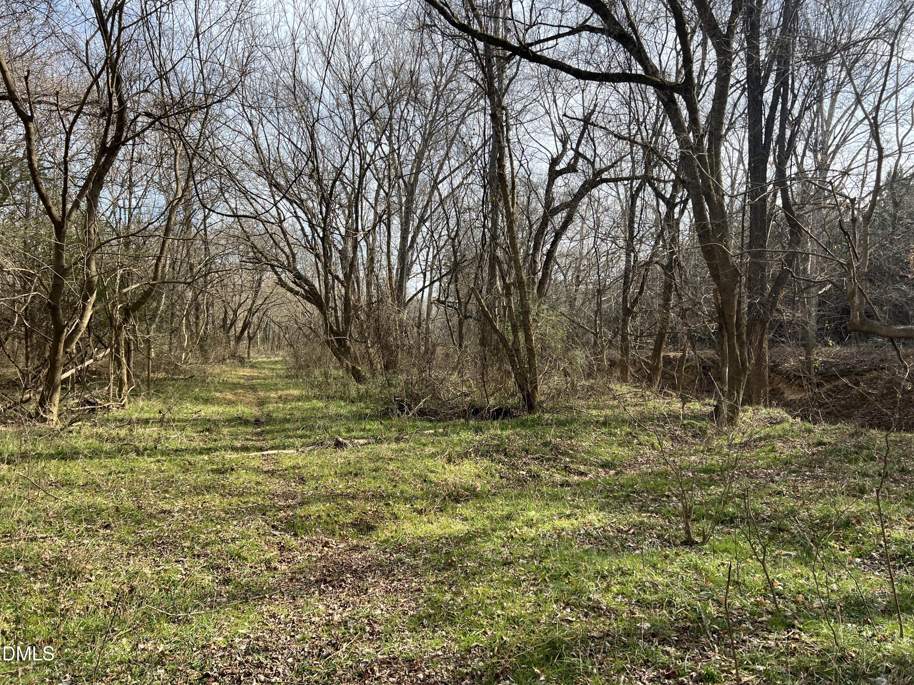 6061 River Run Trail Graham, NC 27253 - Photo 44 of 71 IMG_6419