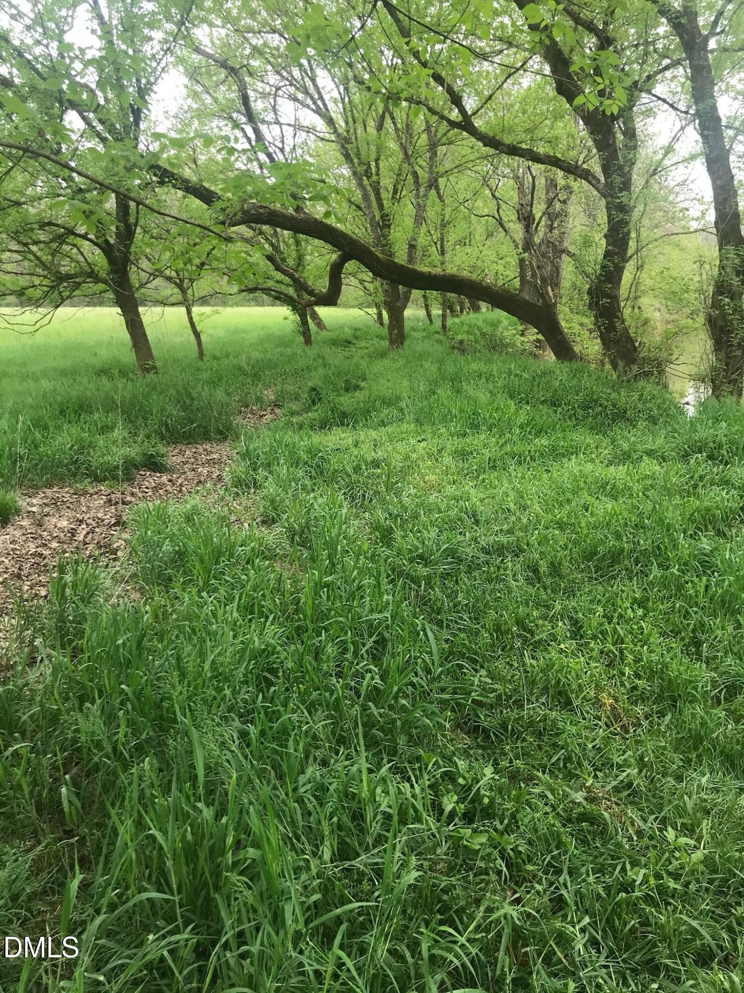 6061 River Run Trail Graham, NC 27253 - Photo 45 of 71 NearCaneCreek 6061RiverRun