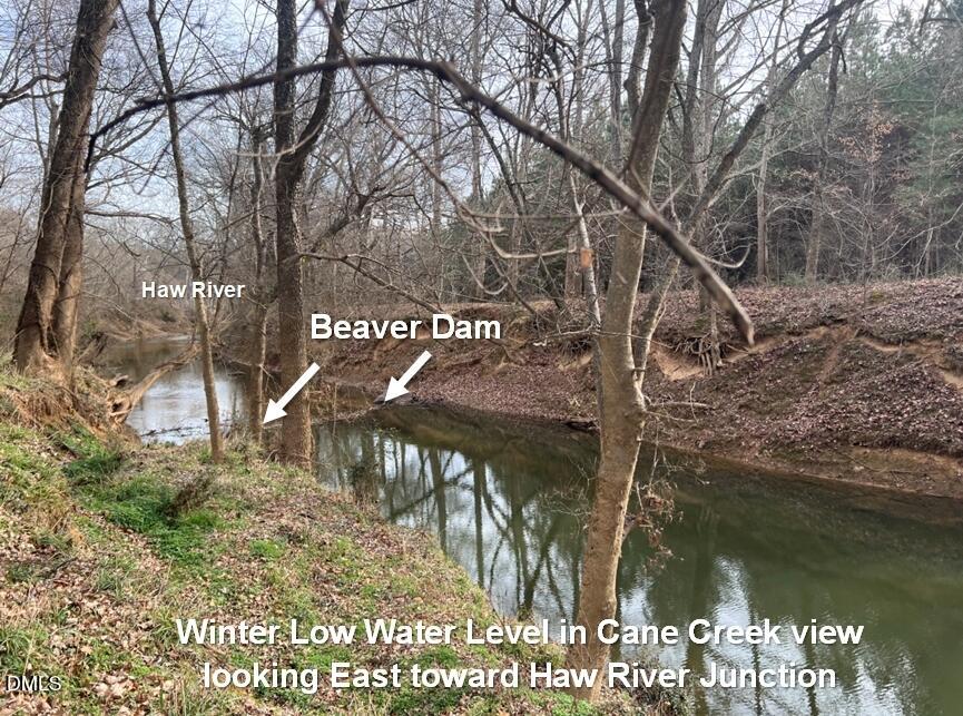 6061 River Run Trail Graham, NC 27253 - Photo 47 of 71 a view of water with large tree