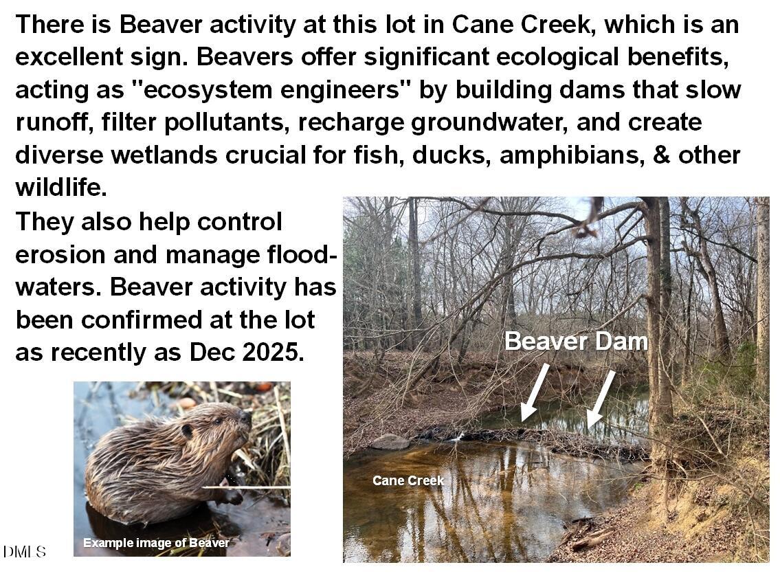 6061 River Run Trail Graham, NC 27253 - Photo 48 of 71