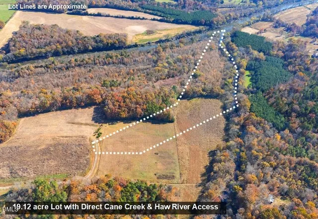 a view of a big yard with a large tree