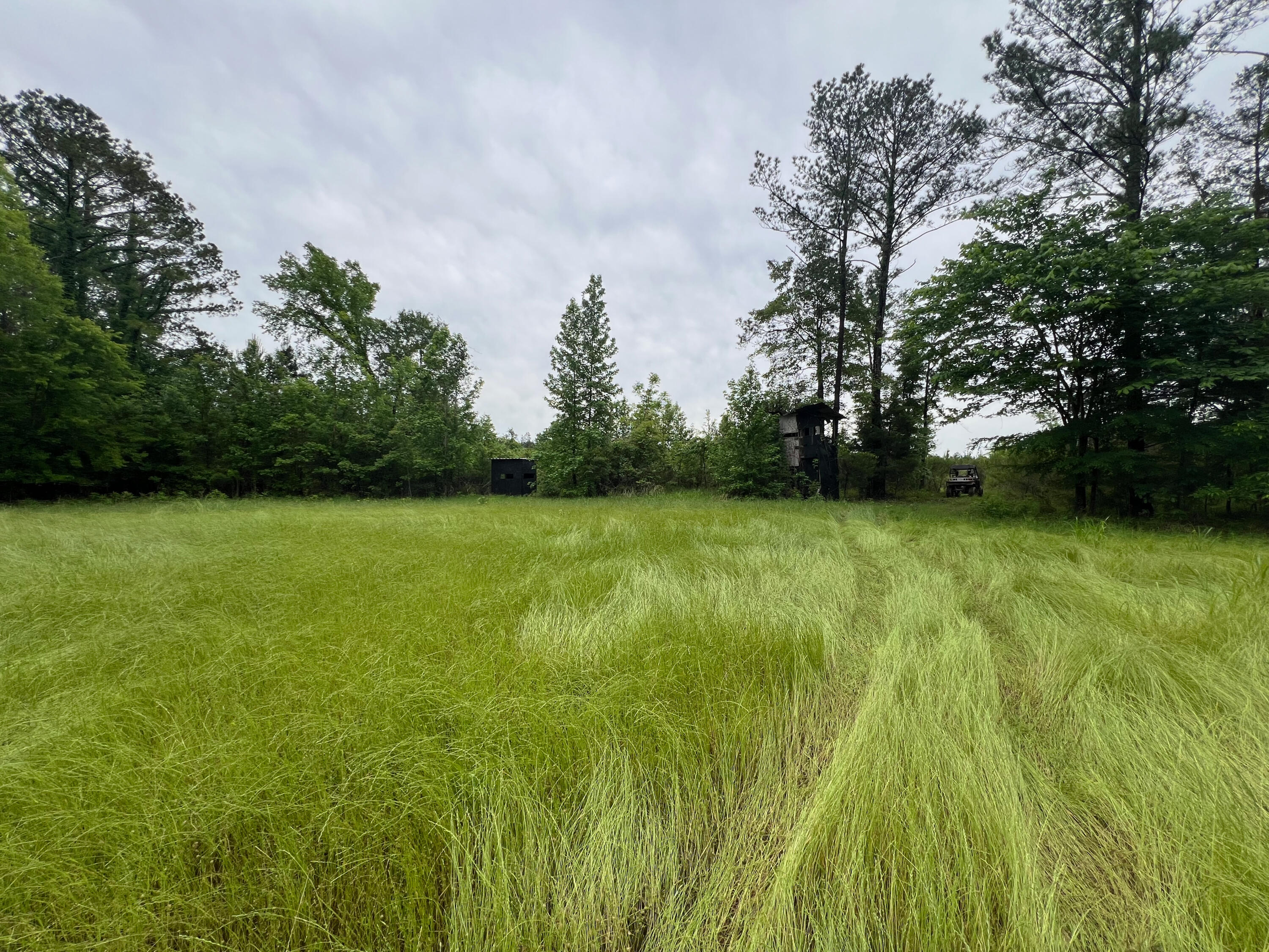 0 Co Road Shubuta, MS 39360 - Photo 10 of 19 shubuta land mls size (8 of 17)