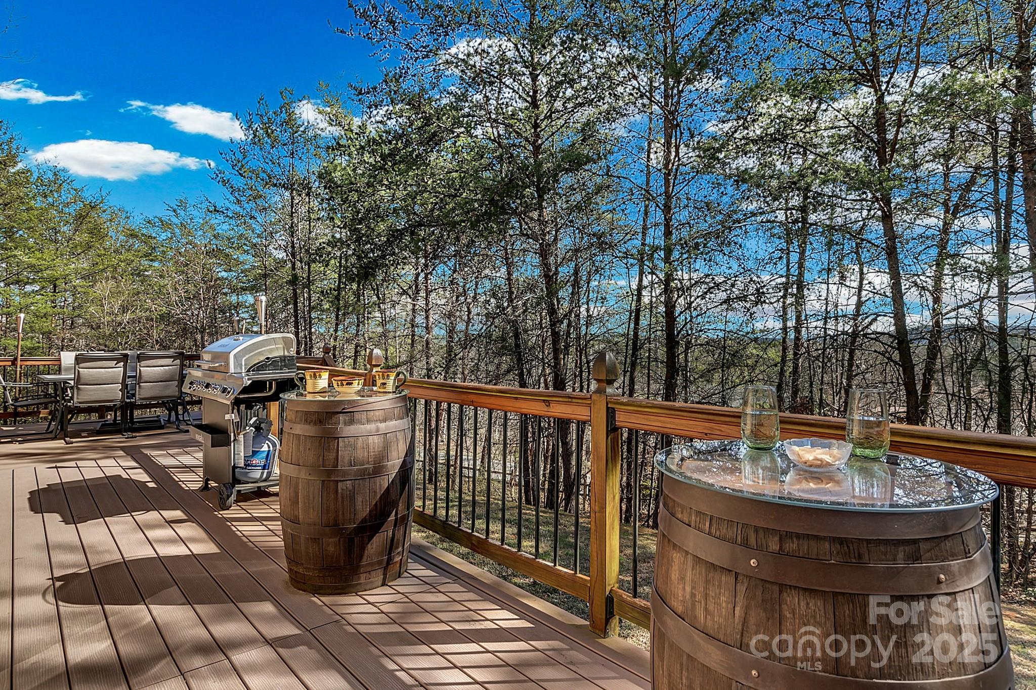 120 Sweetbriar Road North Lake Lure, NC 28746 - Photo 35 of 45 a view of fountain with large trees