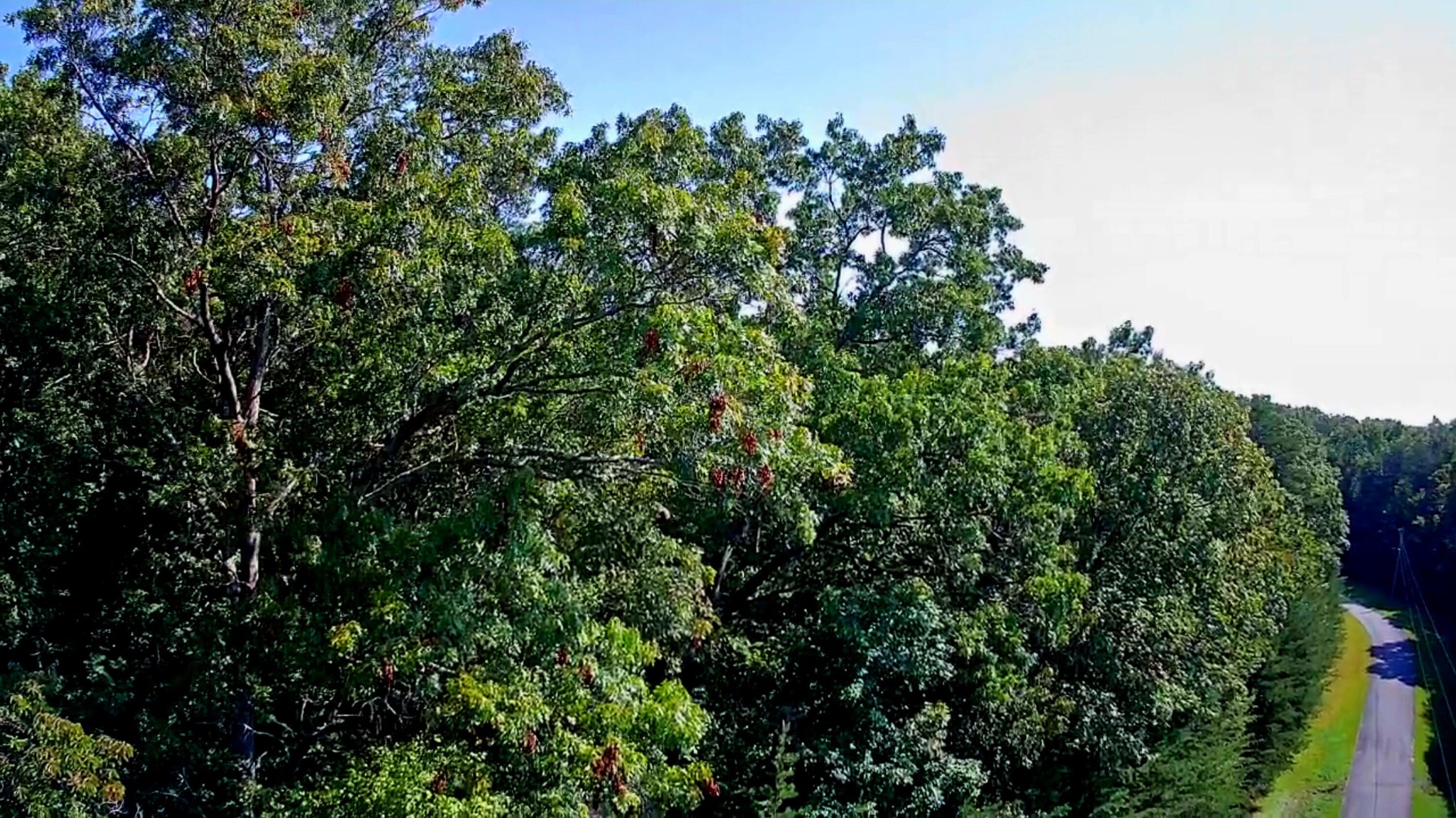 0 Ridge View Lane Spencer, TN 38585 - Photo 12 of 29