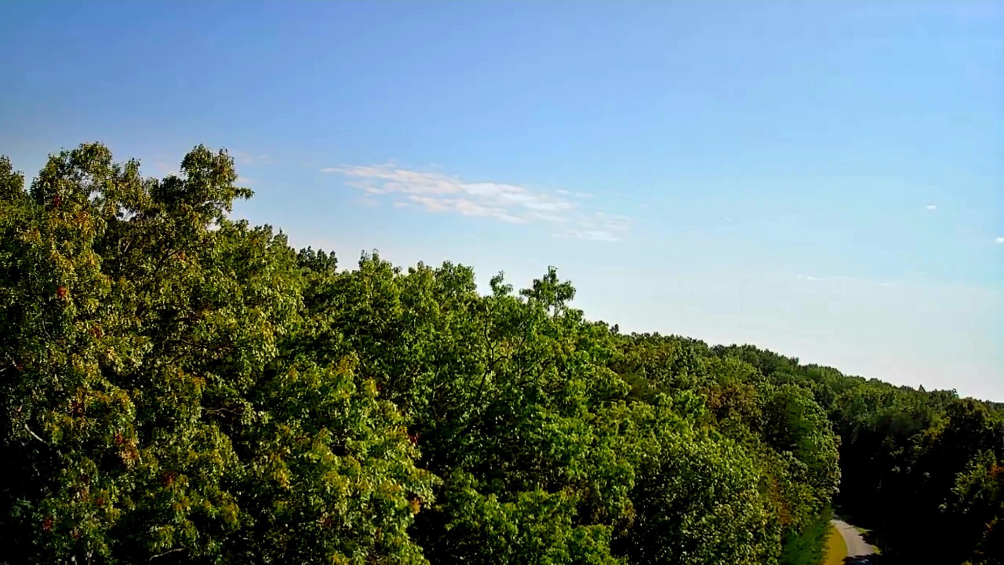 0 Ridge View Lane Spencer, TN 38585 - Photo 14 of 29 a view of a bunch of trees