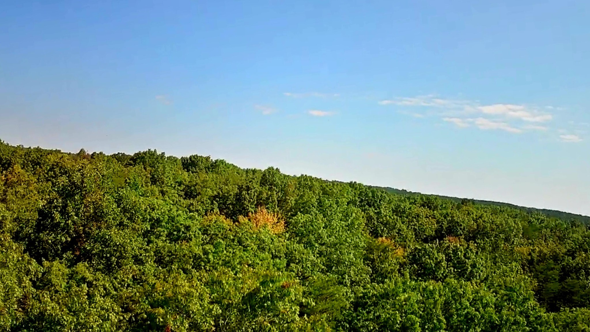 0 Ridge View Lane Spencer, TN 38585 - Photo 17 of 29 a view of a green field