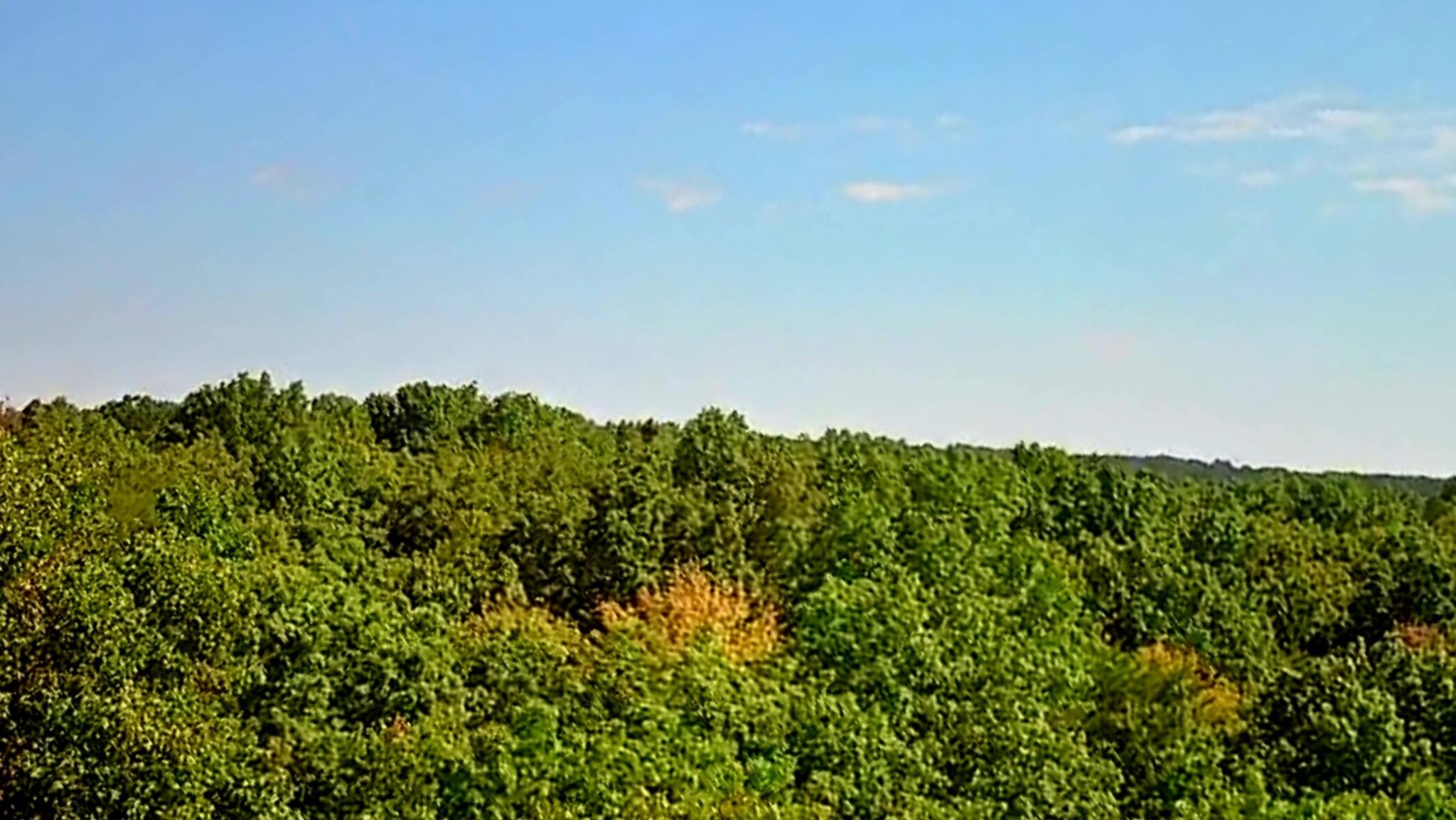 0 Ridge View Lane Spencer, TN 38585 - Photo 18 of 29 a backyard of a house with lots of green space and fog