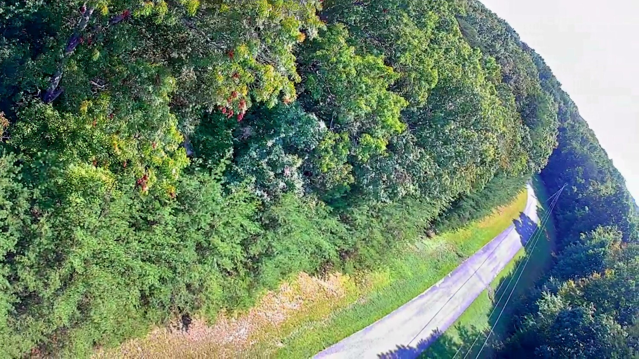 0 Ridge View Lane Spencer, TN 38585 - Photo 23 of 29 a view of a garden
