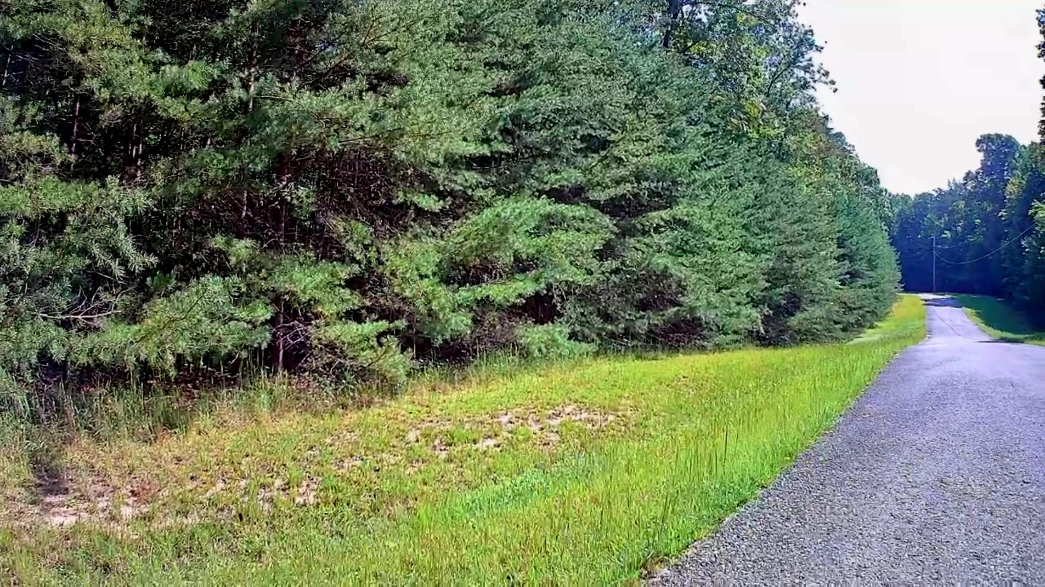 0 Ridge View Lane Spencer, TN 38585 - Photo 24 of 29 a view of a garden with a lake