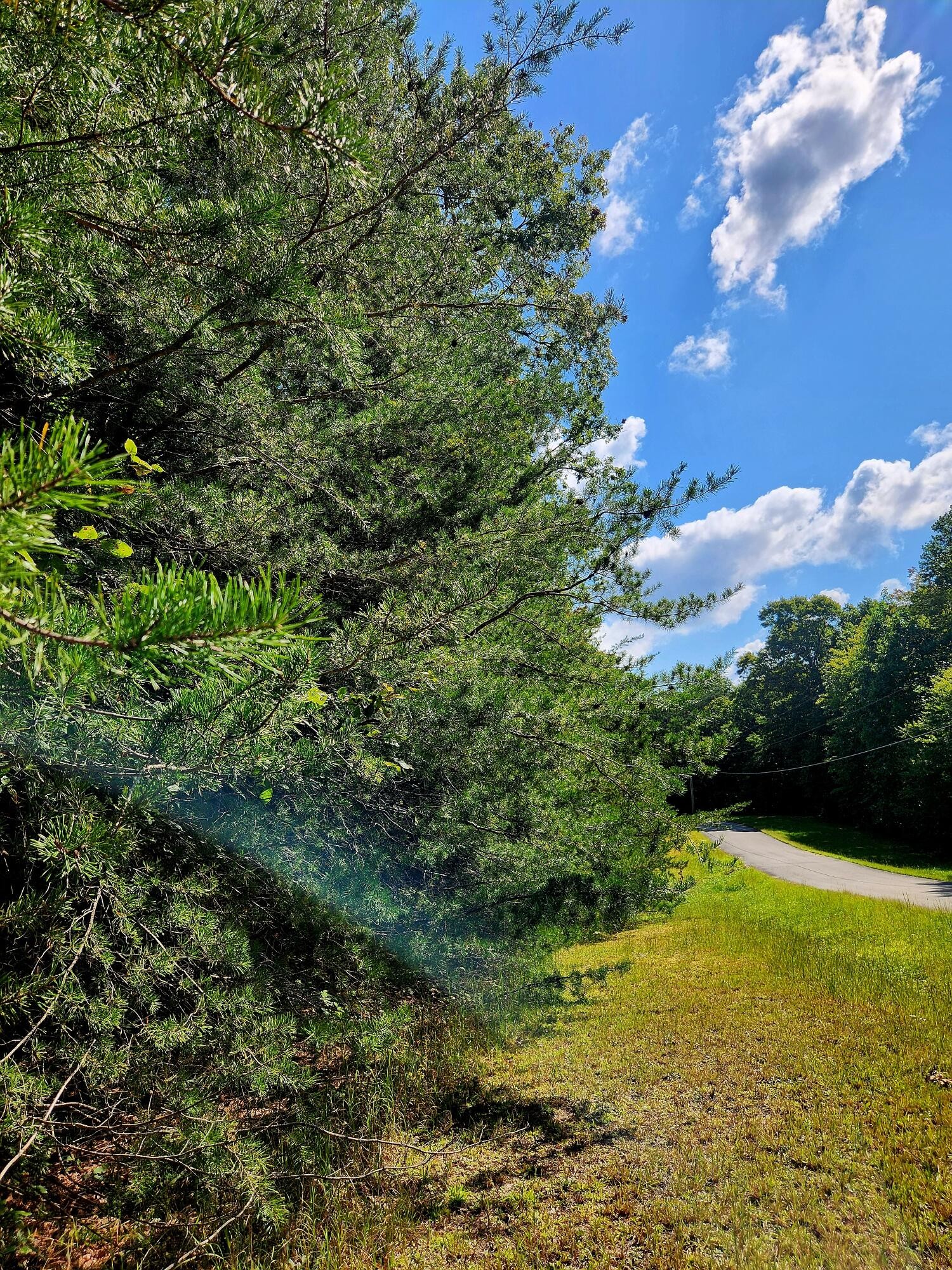 0 Ridge View Lane Spencer, TN 38585 - Photo 28 of 29 a view of a lake with a yard