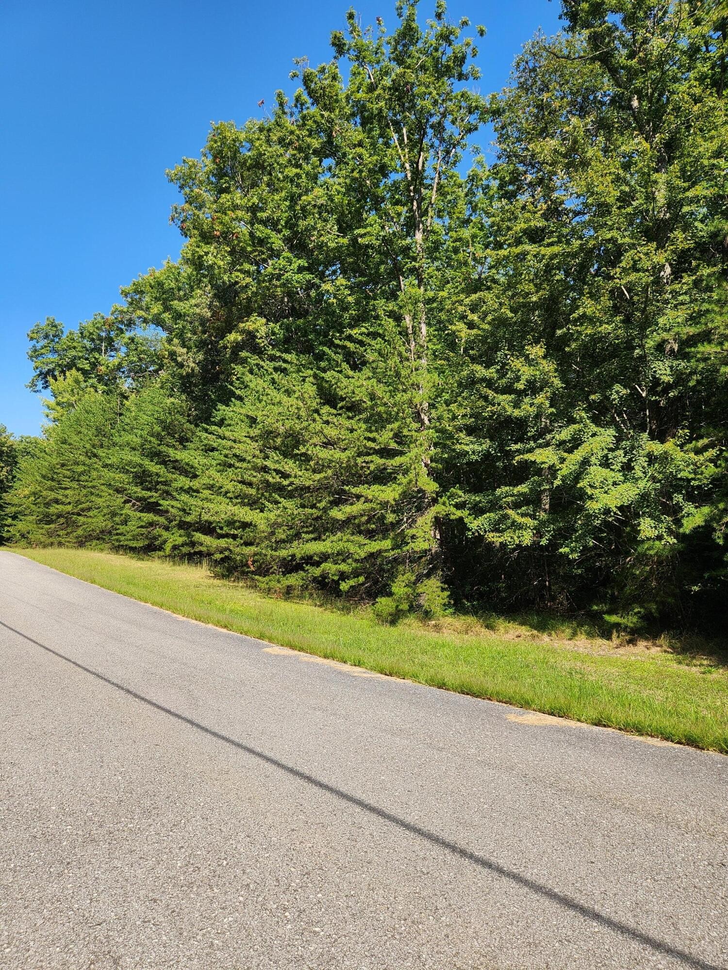 0 Ridge View Lane Spencer, TN 38585 - Photo 3 of 29 a view of a yard with a tree