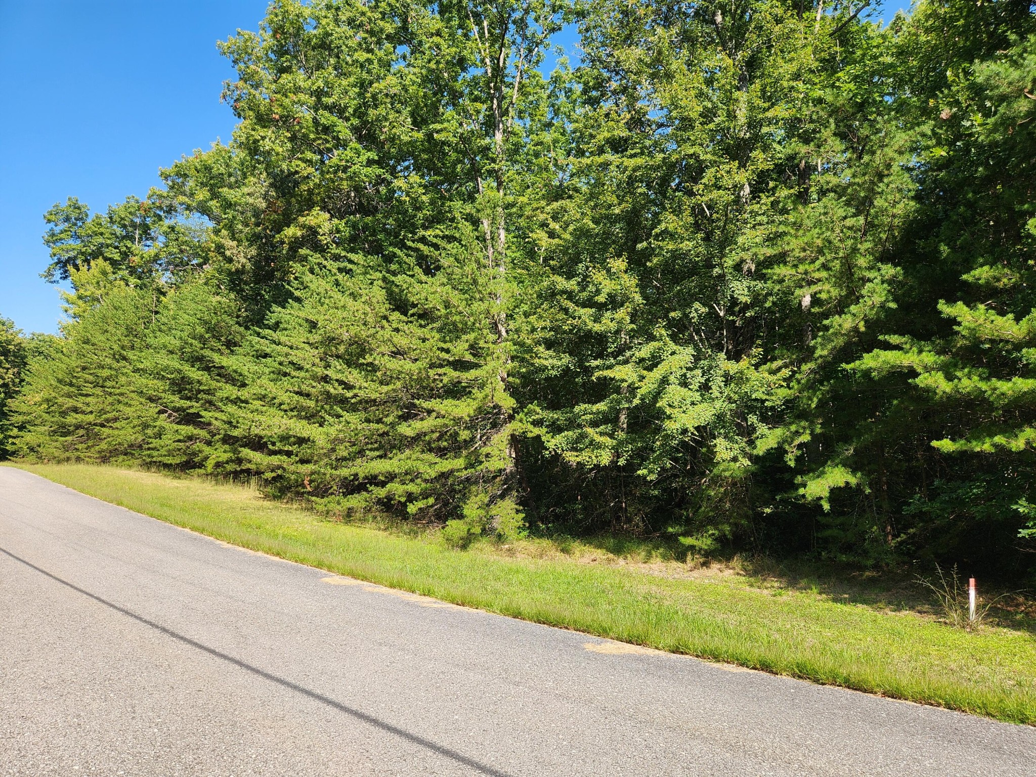 0 Ridge View Lane Spencer, TN 38585 - Photo 4 of 29