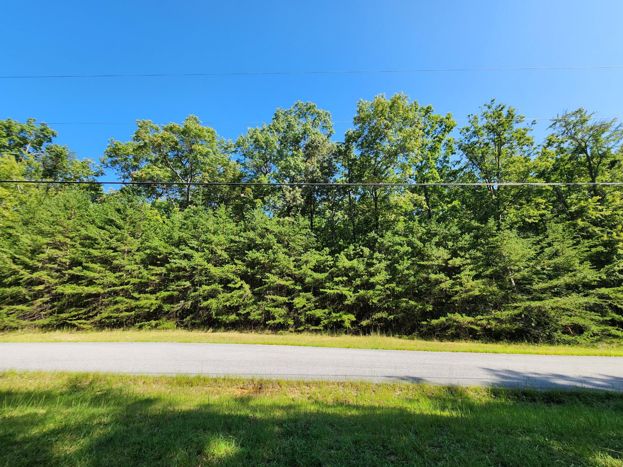 0 Ridge View Lane Spencer, TN 38585 - Photo 5 of 29 a view of a yard with an outdoor space