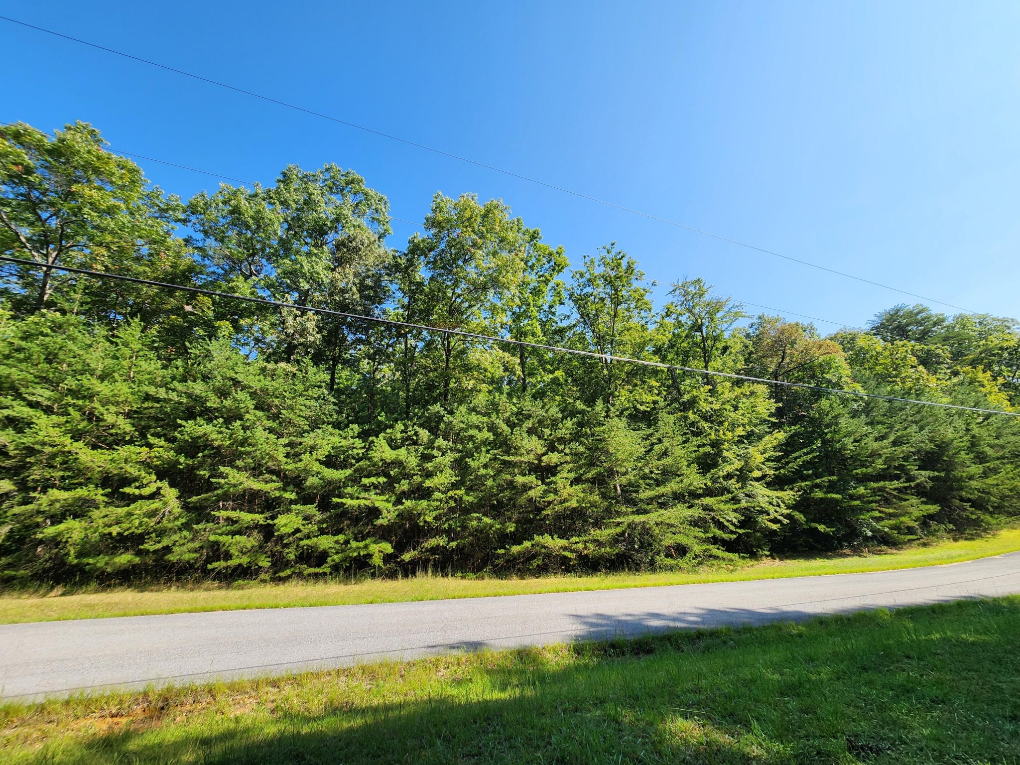 0 Ridge View Lane Spencer, TN 38585 - Photo 6 of 29 a view of a yard with a tree
