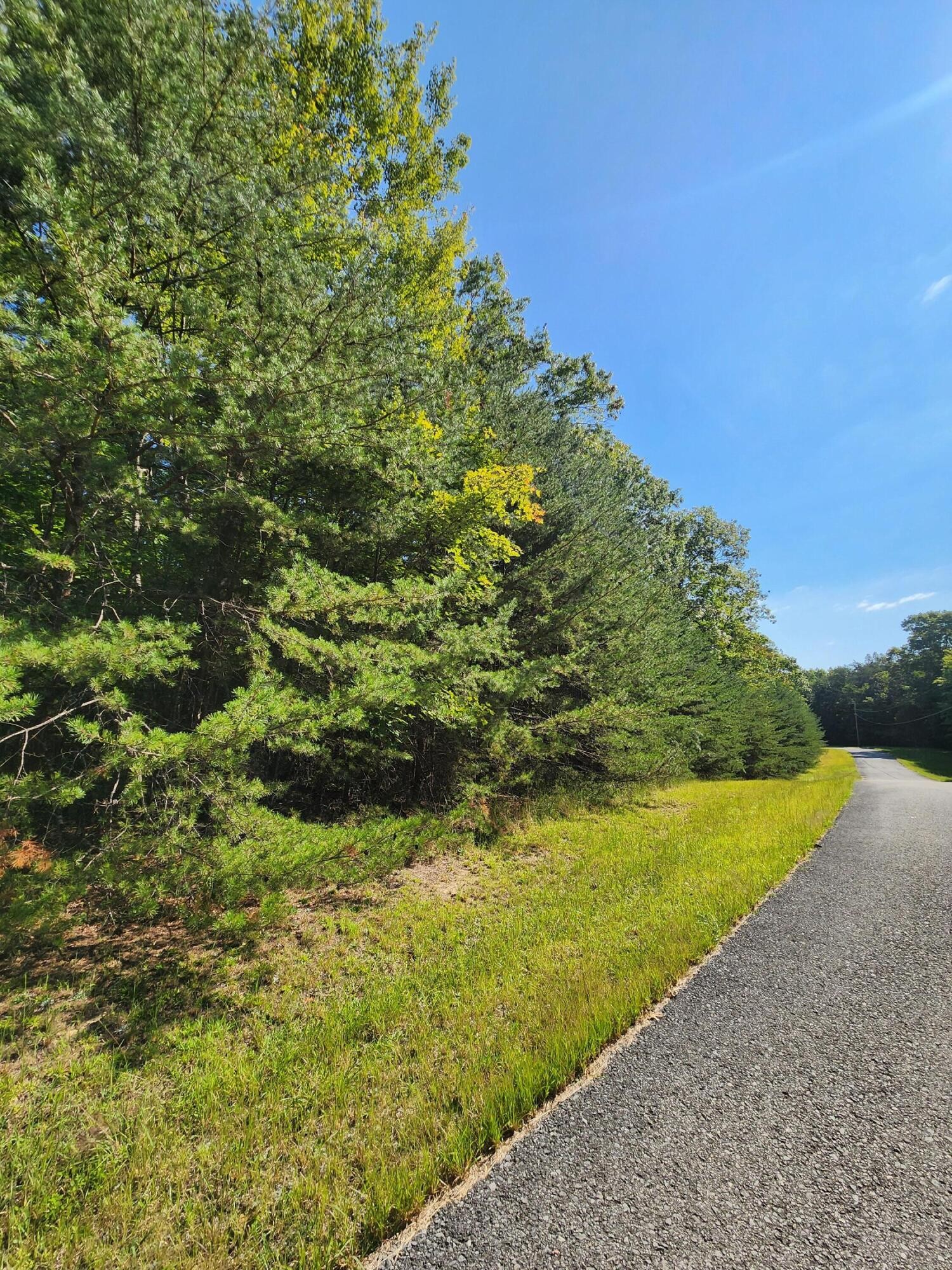 0 Ridge View Lane Spencer, TN 38585 - Photo 7 of 29 a view of a yard with an outdoor space