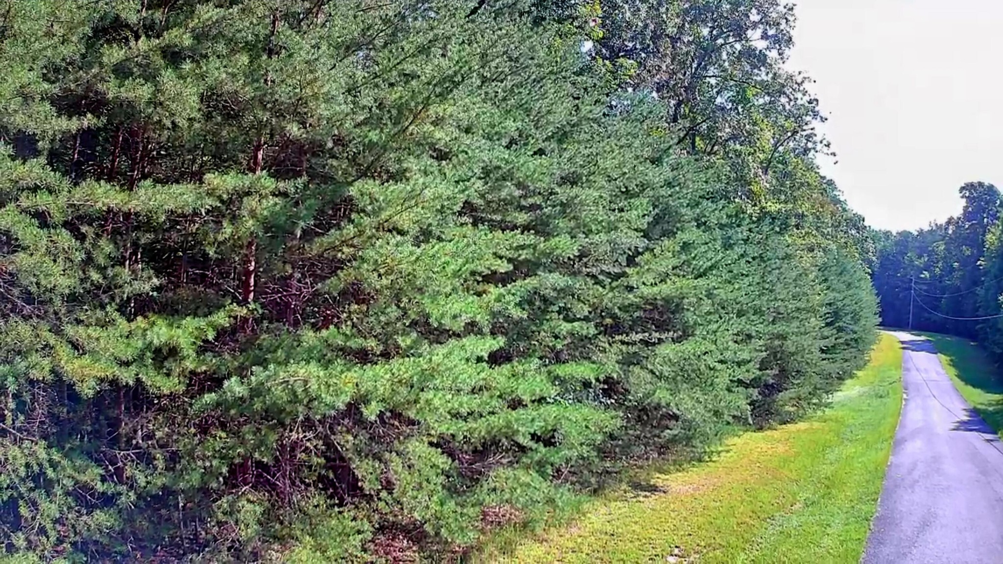 0 Ridge View Lane Spencer, TN 38585 - Photo 9 of 29 a view of a garden with a building