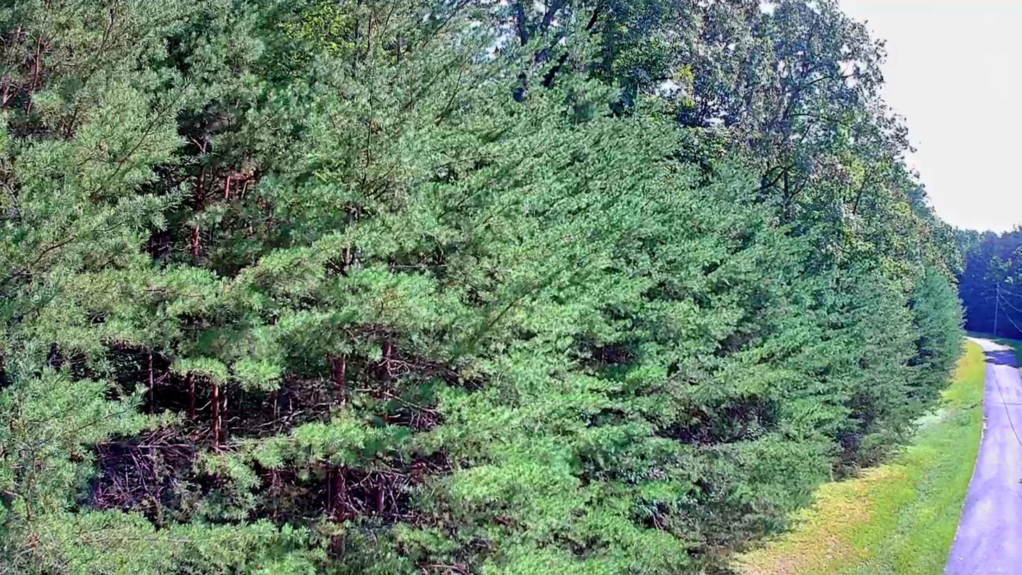 0 Ridge View Lane Spencer, TN 38585 - Photo 10 of 29 an aerial view of a house with a yard