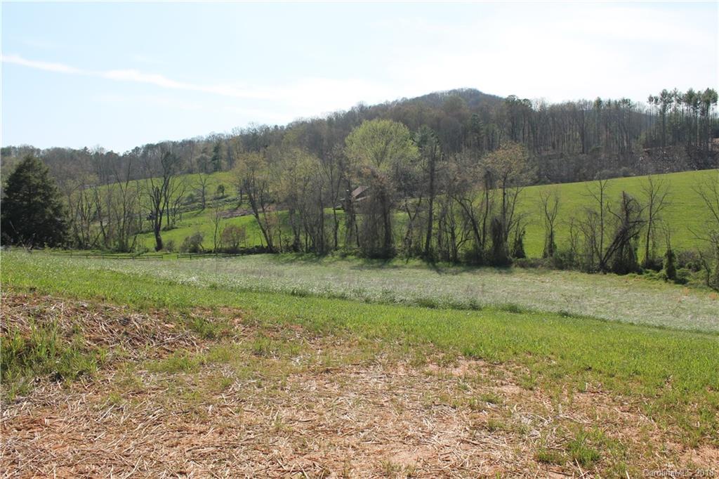 0 Worley Cove Road, Unit 1 Canton, NC 28716 - Photo 1 of 14