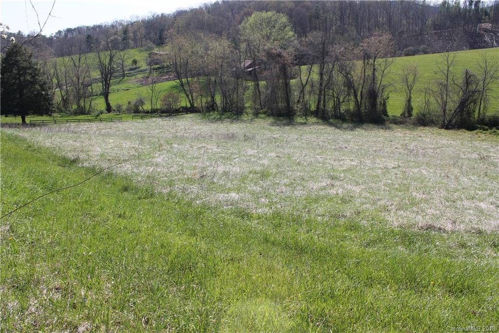 0 Worley Cove Road, Unit 1 Canton, NC 28716 - Photo 3 of 14