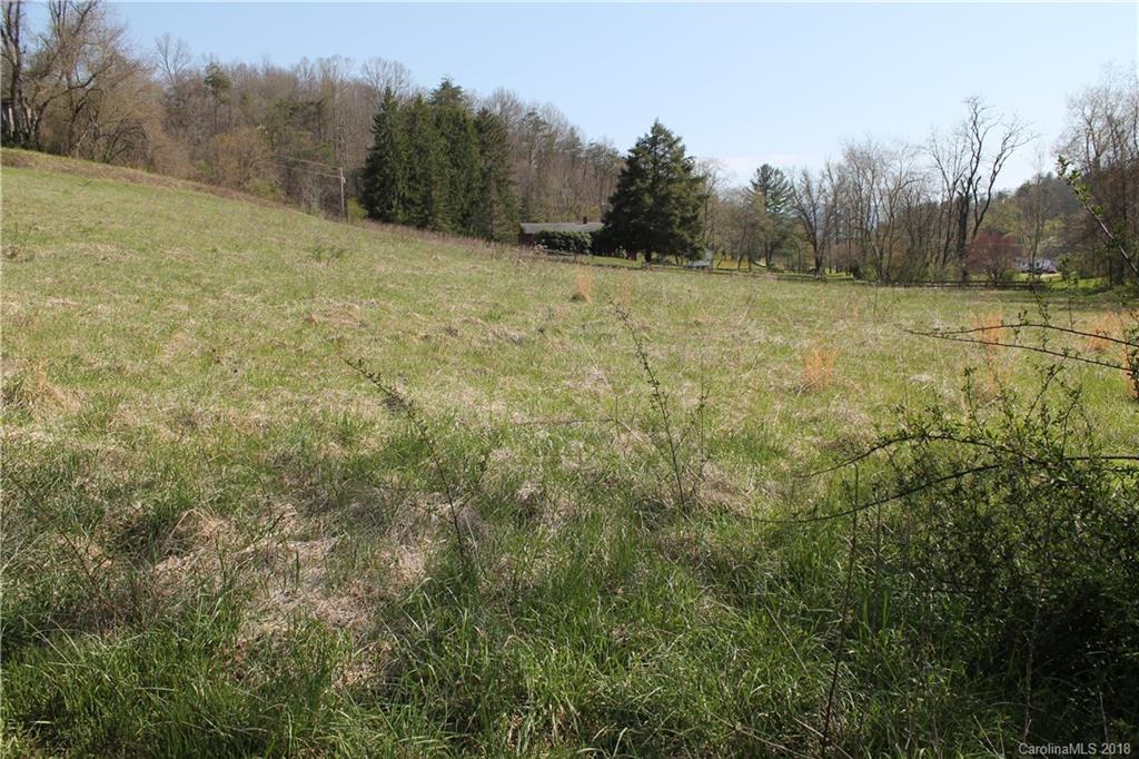 0 Worley Cove Road, Unit 1 Canton, NC 28716 - Photo 5 of 14