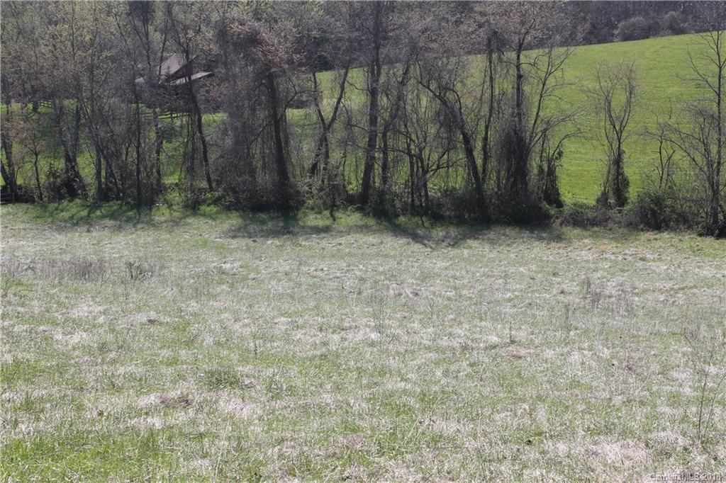 0 Worley Cove Road, Unit 1 Canton, NC 28716 - Photo 7 of 14