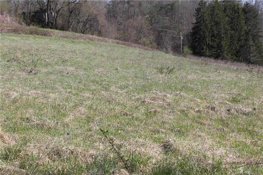 0 Worley Cove Road, Unit 1 Canton, NC 28716 - Photo 9 of 14