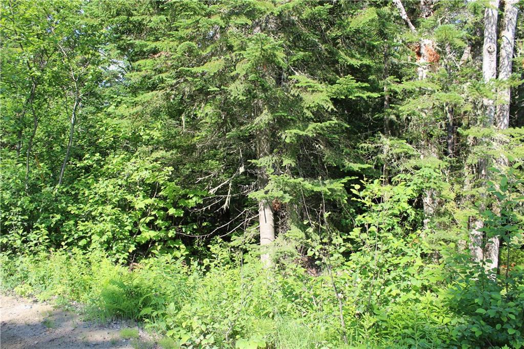 Lot 24 Bemis Road Oquossoc, ME 04964 - Photo 4 of 4 land