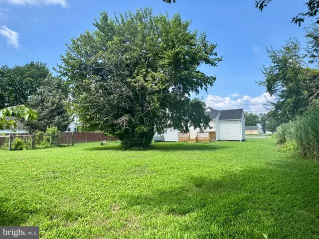 a view of a house with a yard and a tree