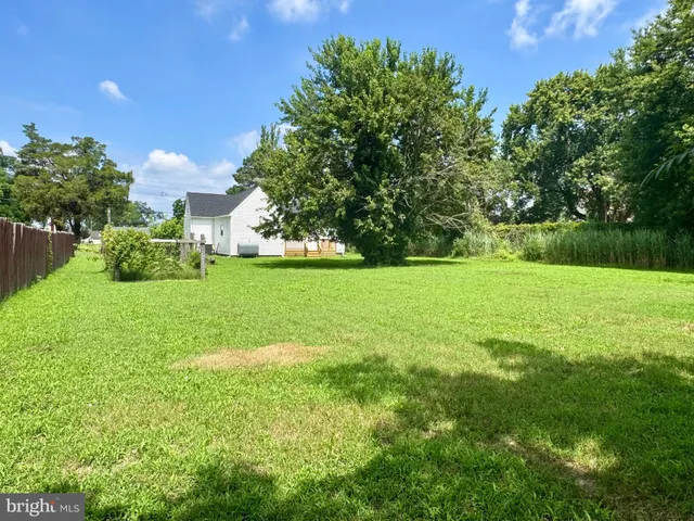 a view of a grassy field with trees