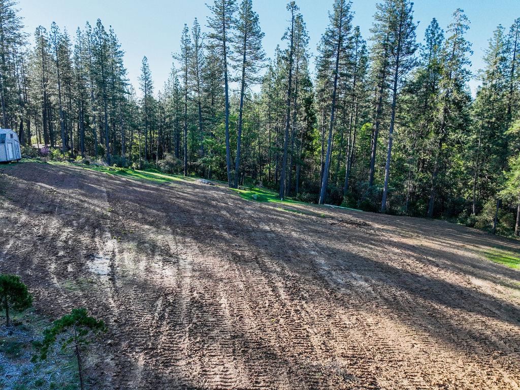 13279 Thoroughbred Loop Grass Valley, CA 95949 - Photo 3 of 33 a view of a yard with trees