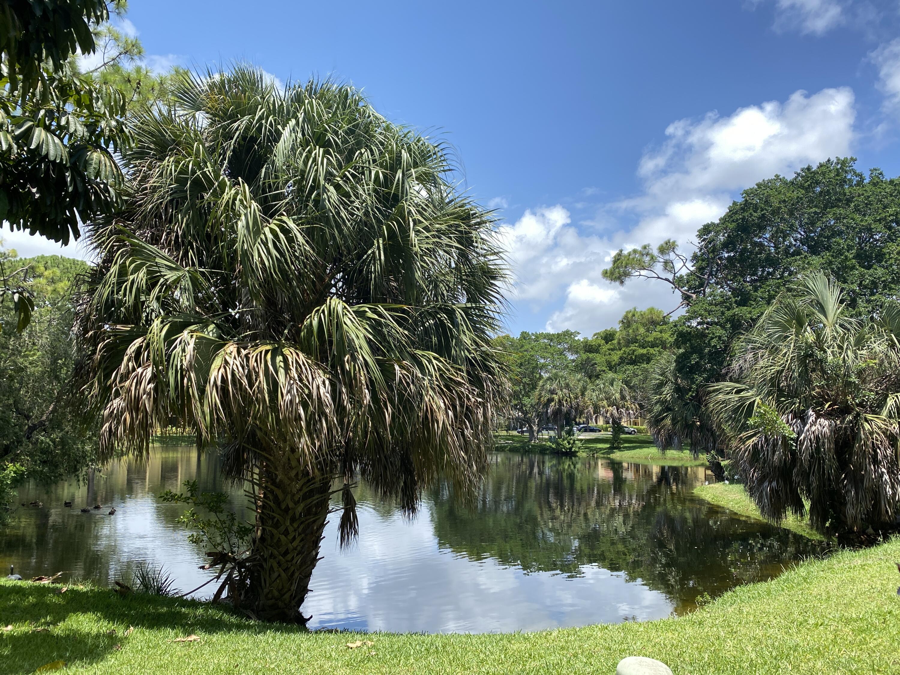918 Southwest 9th St Circle, Unit 101 Boca Raton, FL 33486 - Photo 22 of 27 Back Patio View