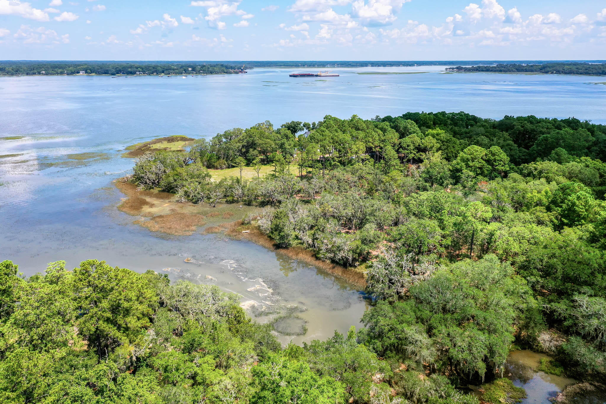 6258 Josie Ridge Road Wadmalaw Island, SC 29487 - Photo 5 of 43 HFL_6258 JOSIE RIDGE-55