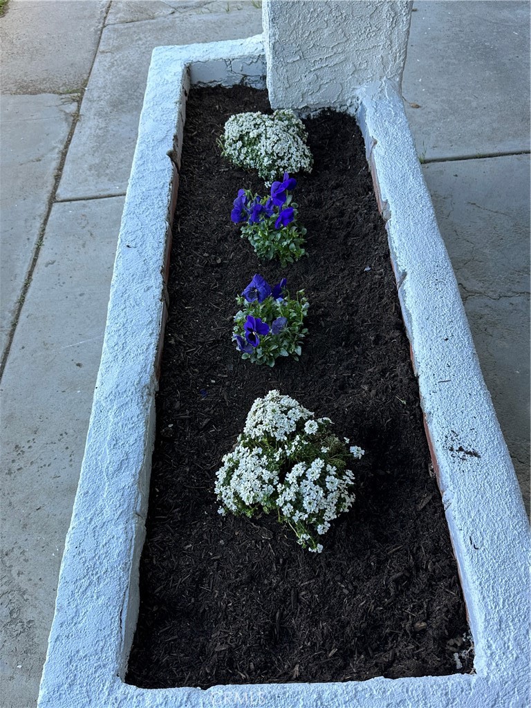 1380 Indian Sage Road Lancaster, CA 93534 - Photo 3 of 24