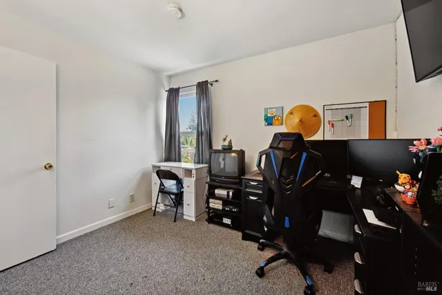 a view of a backyard with plants