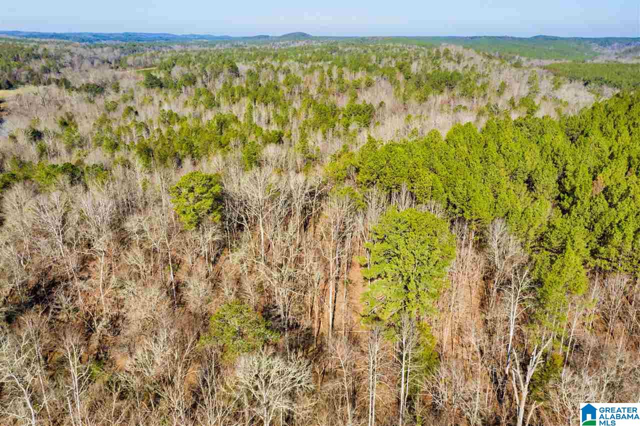 0 County Road 8, Unit 1 Clanton, AL 35045 - Photo 27 of 30