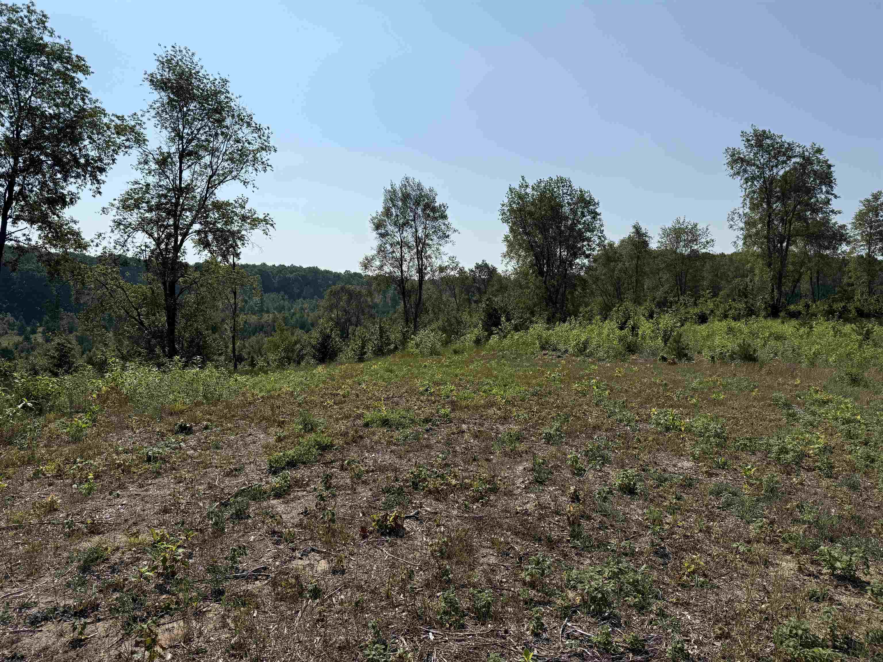 3 East Kasson Road, Unit LOT: A3 Maple City, MI 49664 - Photo 6 of 12