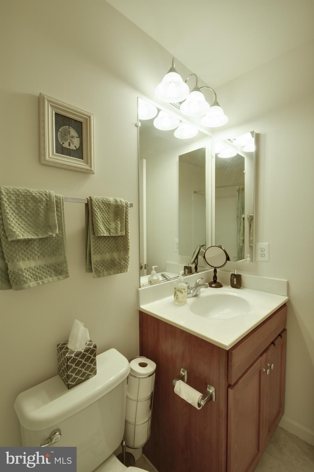 8347 Scotland Loop, Unit 53 Manassas, VA 20109 - Photo 14 of 23 Bath (Master)