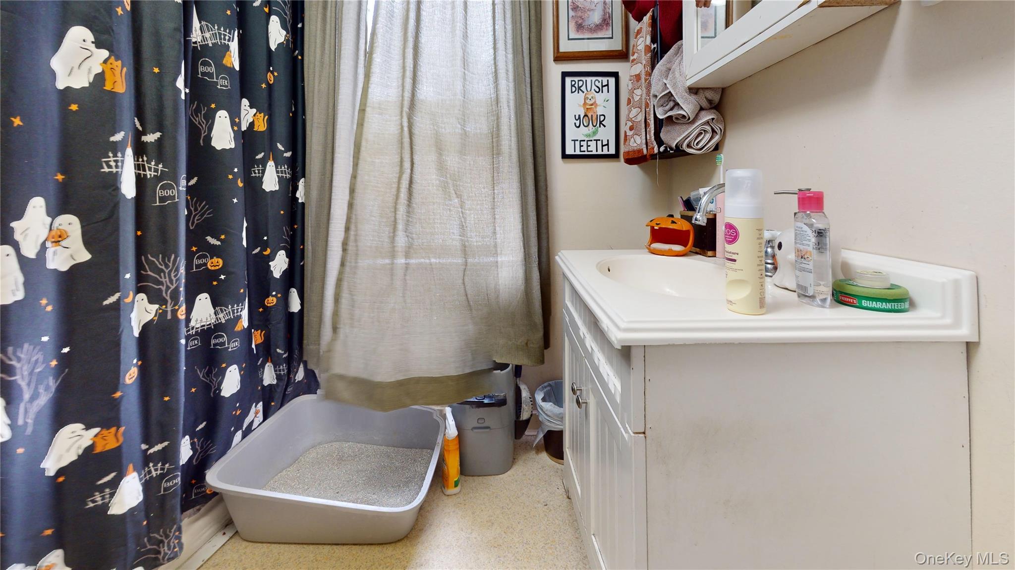 3 Center Street Deposit, NY 13754 - Photo 12 of 45 a bathroom with a sink and a mirror